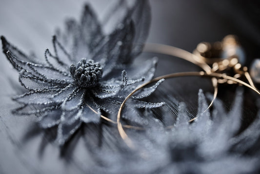 出展のお知らせ